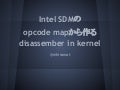 Inkernel disasm-from-intelsdm-kernelvm