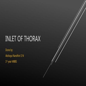 Inlet of thorax