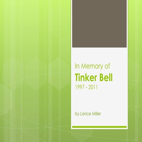 Tinker Bell ( It is necessary the download. ) | PPS