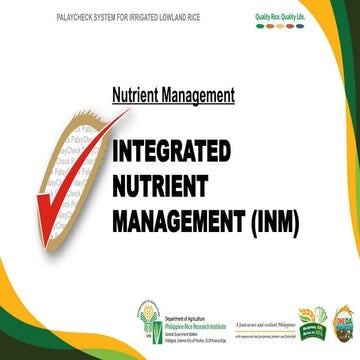 Nutrient management for paddy -WPS Office.pptx
