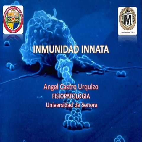 Inmunidad innata 
