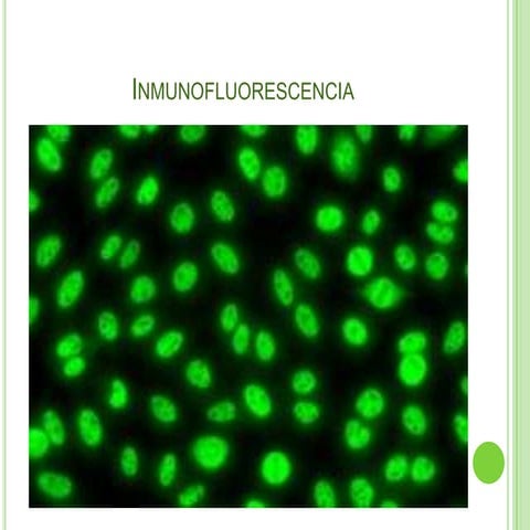 Inmunofluorescencia | PPTX