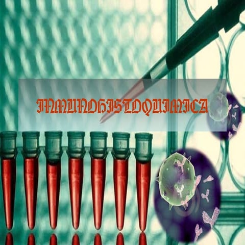 Inmunohistoquimica