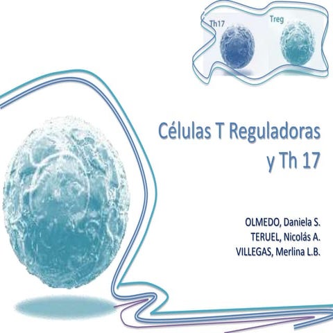 Celulas T reg y Th17 | PPTX