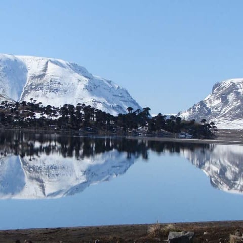 INMUNOTERAPIA - CLASE 2.pptx