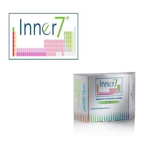 Inner 7 | PDF