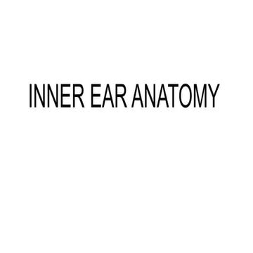 Anatomy of inner ear | PPT