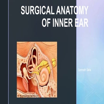 Inner ear anatomy | PPTX