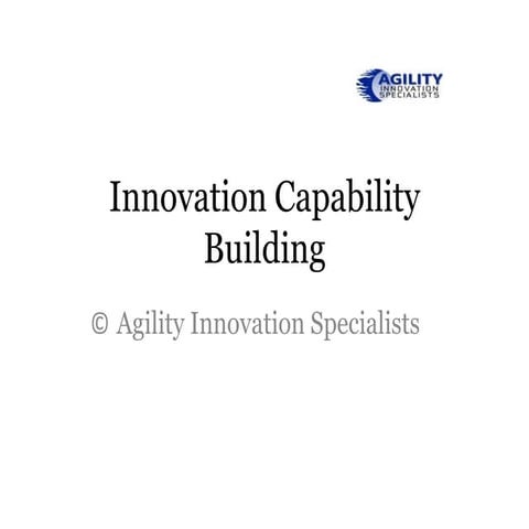 Innovation capability building perspective feb 13