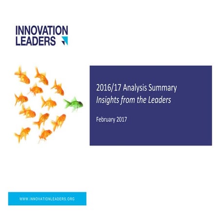 Innovation leaders 2017 analysis summary lr