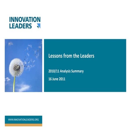 Innovation leaders analysis summary 2010 11