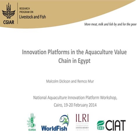 Innovation platforms in the aquaculture value chain in Egypt