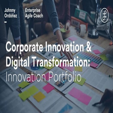 Corporate Innovation Portfolio Management (Excerpt)