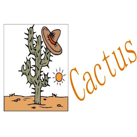 Innovative lesson plan   name of the teacher