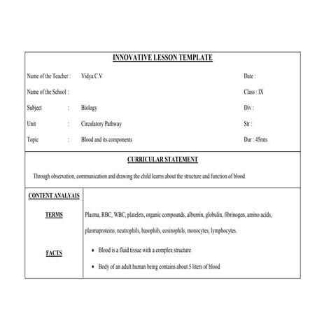 Innovative lesson template | DOCX