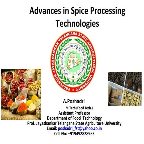 Advances in spice processing