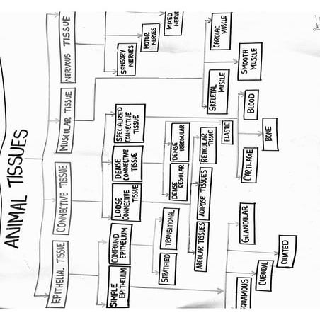 Innovative work -1.pdf