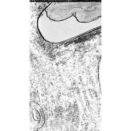 Innovative work .pdf