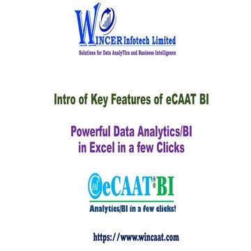 Intro of Key Features of eCAAT BI Software
