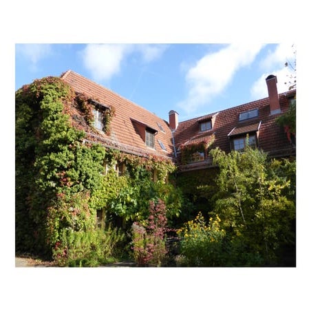 INOC Meeting - The programmatics of Organizational Coaching