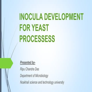 Inocula development for yeast processes