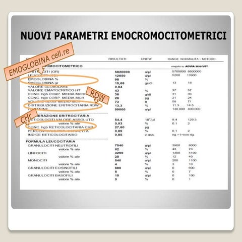 I nostri nuovi parametri | PPTX