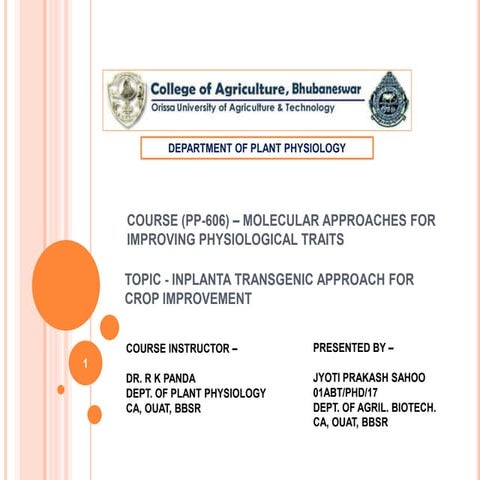 INPLANTA TRANSGENIC APPROACH FOR CROP IMPROVEMENT | PPTX
