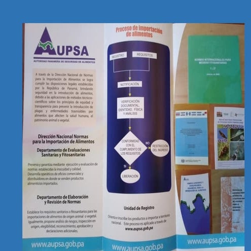 importe de alimentos