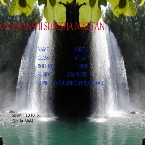 Inputandoutputdevices 111031041550-phpapp01