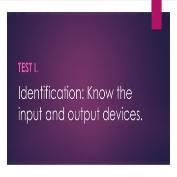 Input and output device test | PDF