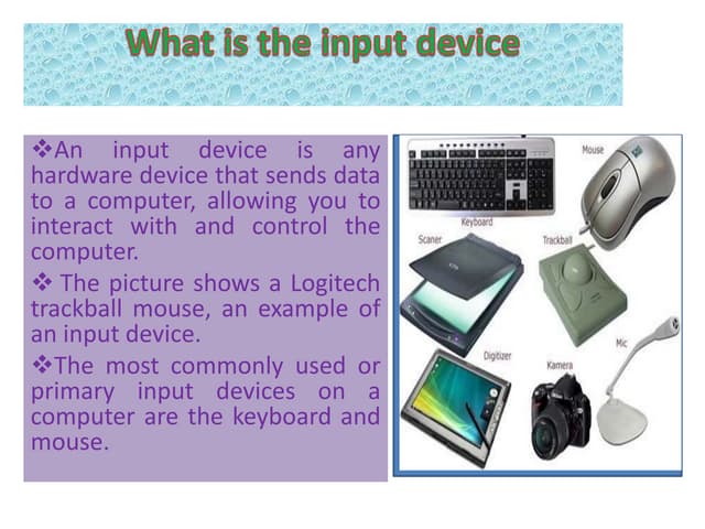 Input device