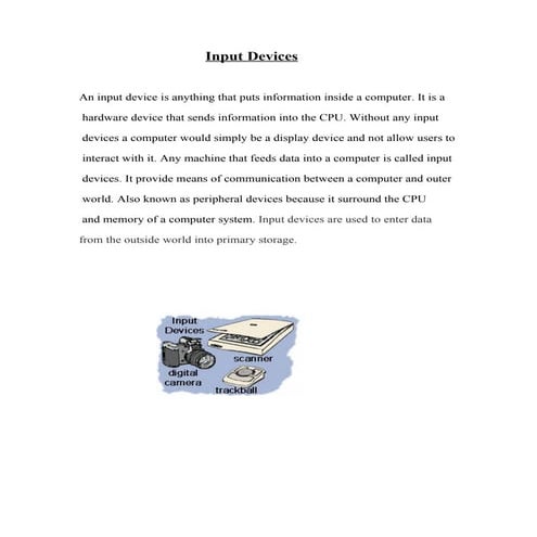 report on Input devices