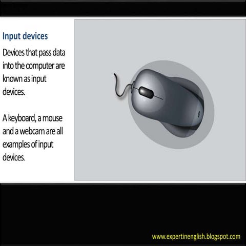 Input devices