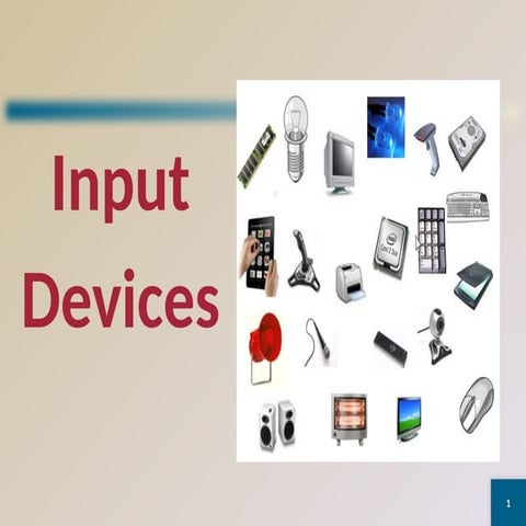 Input Devices for Key stage 3 and 4.pptx