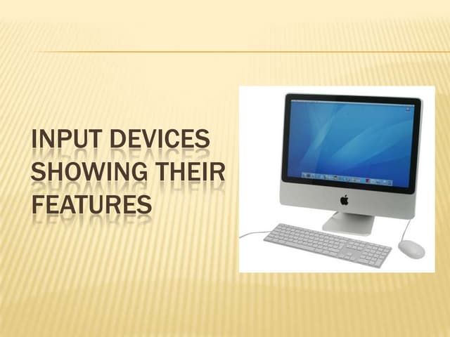 Input devices in computer graphics