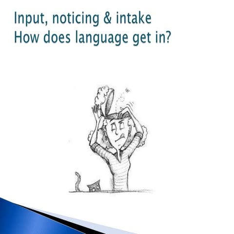 Input, noticing & intake