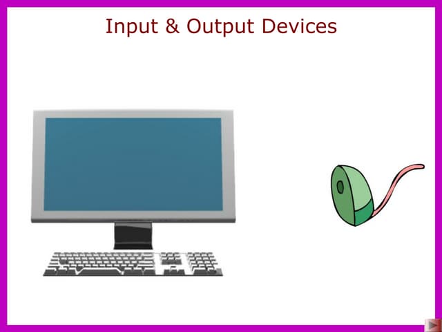 5 input and output devices
