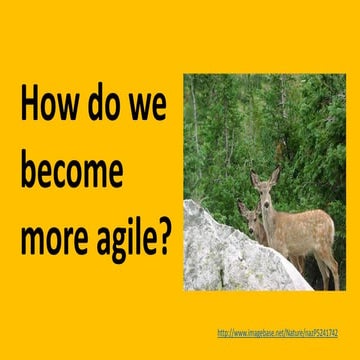 How do we become agile?
