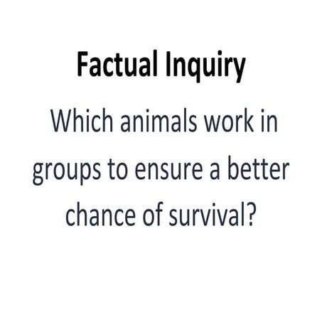 Inquiry Questions.docx