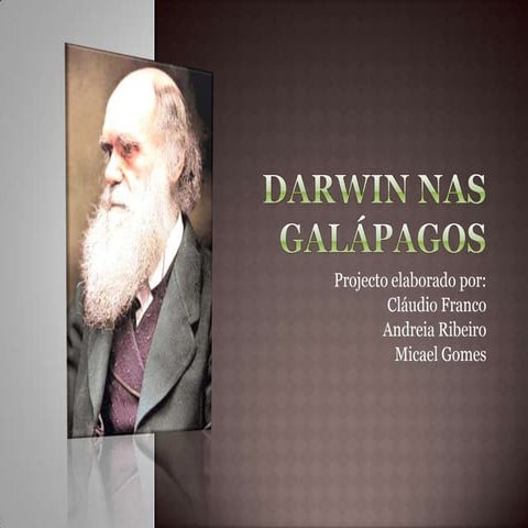 InquéRitos   GráFicos