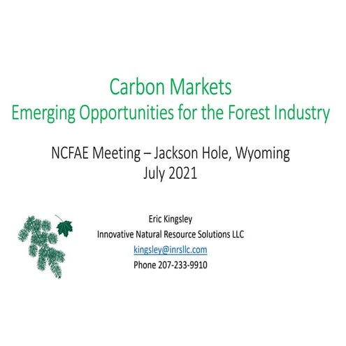 INRS carbon markets   NCFAE meeting 7.2021