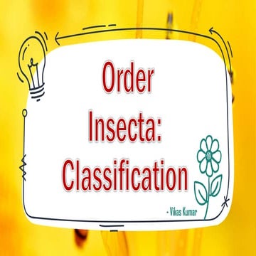 Order: Insecta Classification