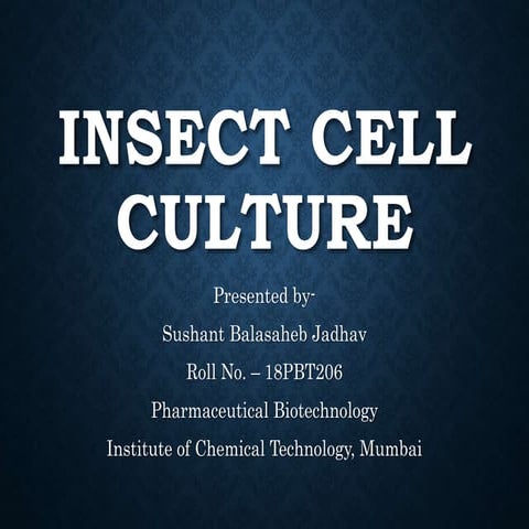 Insect cell culture