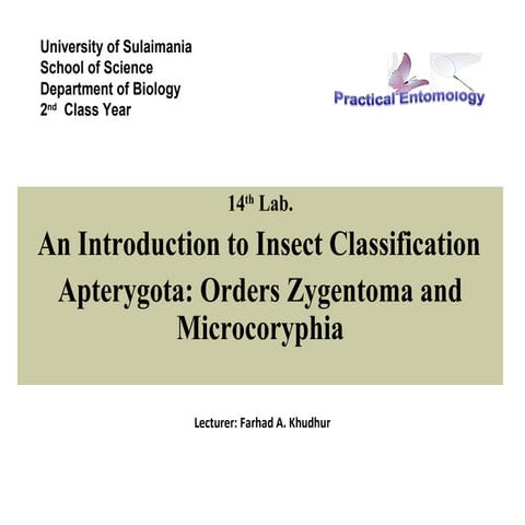 Insect classification lab14