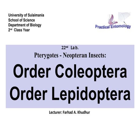 Insect classification lab22