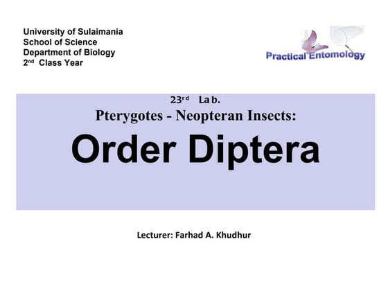Lab11 entomology | PPT