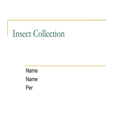 Insect Collection | PPT