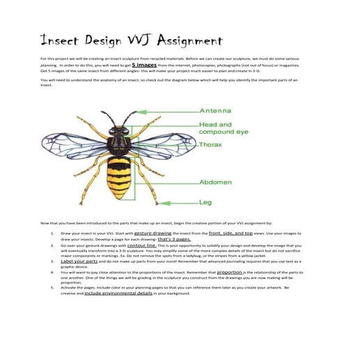Insect design vvj assignment