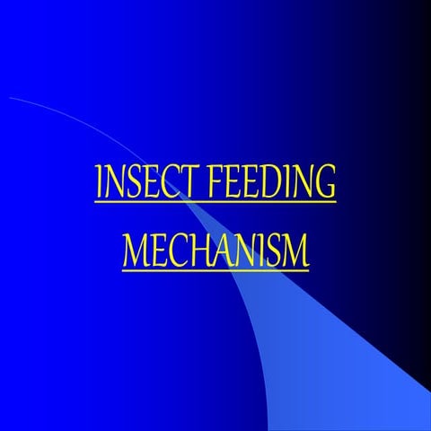 Insect feeding mechanism