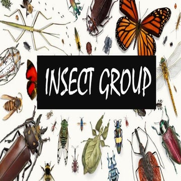 INSECT GROUP.BHMS.MATERIA MEDICA.HOMOEOPATHY